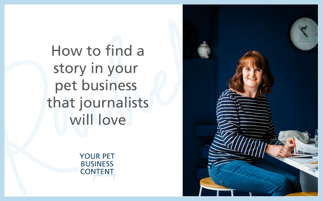 How to find stories in your pet business